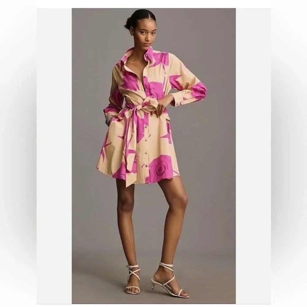 Anthropologie Hutch Long-Sleeve Tie-Waist Shirt Dress Neutral Pink Hutch XS